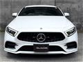 2019 Mercedes-Benz Cls-Class