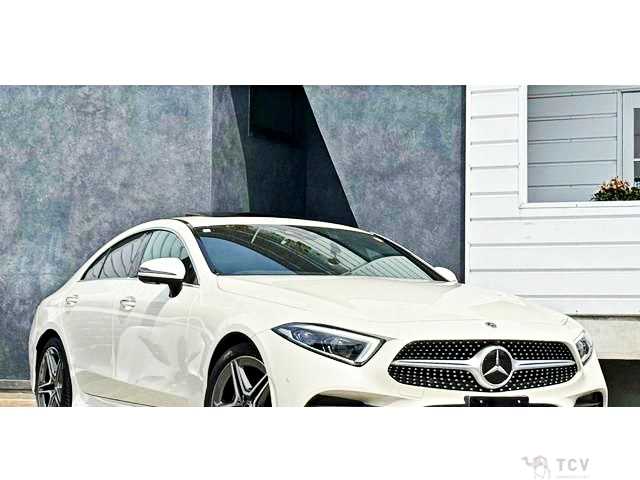2019 Mercedes-Benz Cls-Class