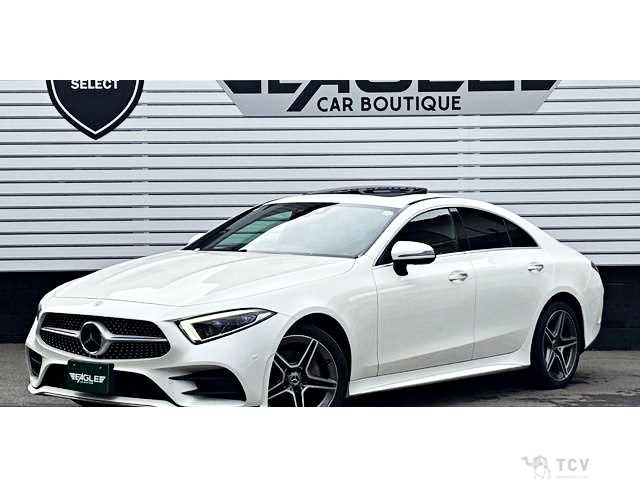 2019 Mercedes-Benz Cls-Class