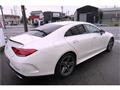 2019 Mercedes-Benz Cls-Class
