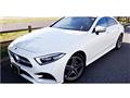 2019 Mercedes-Benz Cls-Class