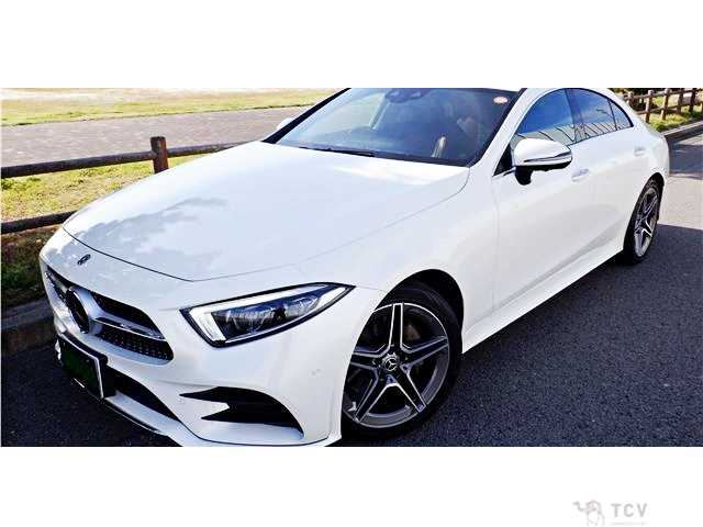 2019 Mercedes-Benz Cls-Class