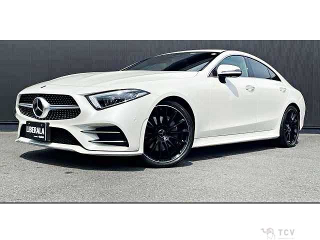 2019 Mercedes-Benz Cls-Class