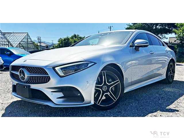 2019 Mercedes-Benz Cls-Class