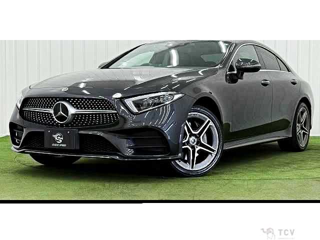 2019 Mercedes-Benz Cls-Class