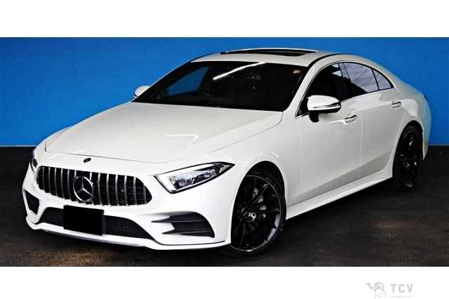2019 Mercedes-Benz Cls-Class