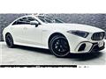 2019 Mercedes-Benz Cls-Class