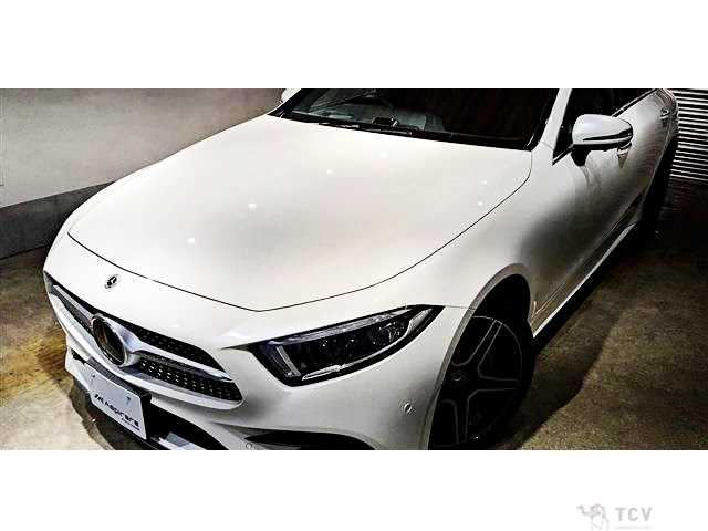 2019 Mercedes-Benz Cls-Class