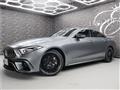 2019 Mercedes-Benz Cls-Class