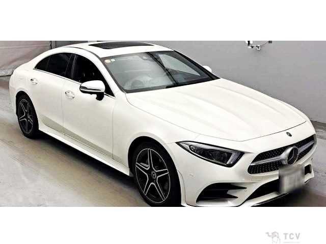 2019 Mercedes-Benz Cls-Class