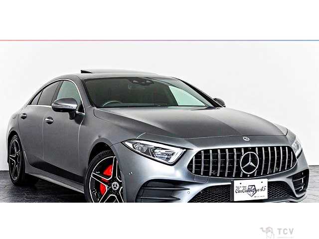 2019 Mercedes-Benz Cls-Class