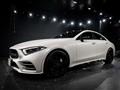 2019 Mercedes-Benz Cls-Class