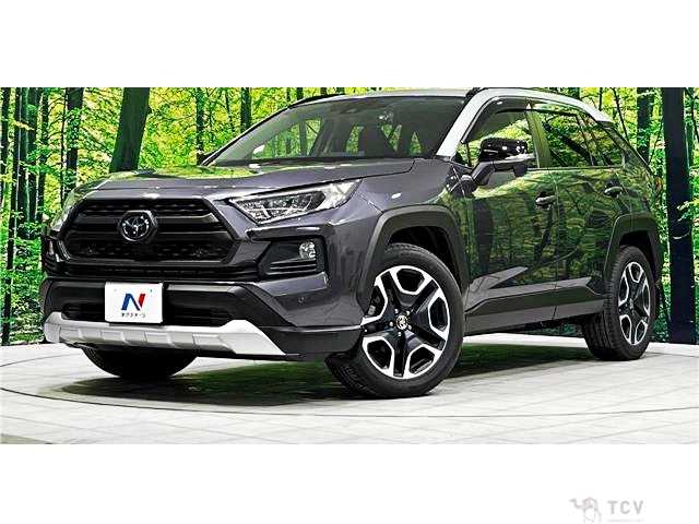 2019 Toyota RAV4