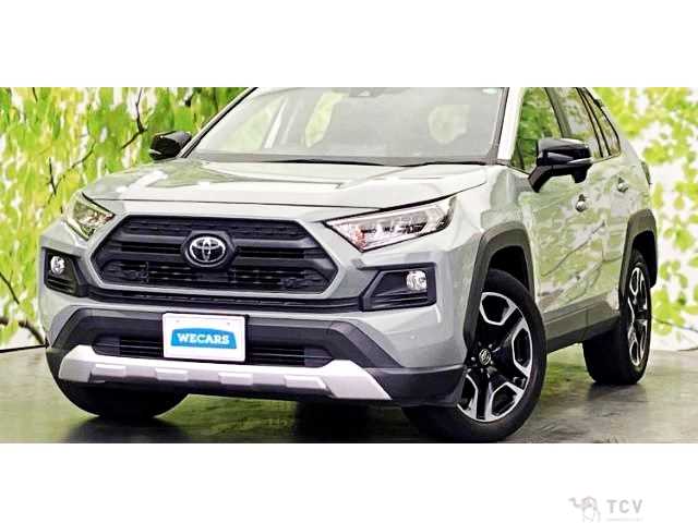 2019 Toyota RAV4
