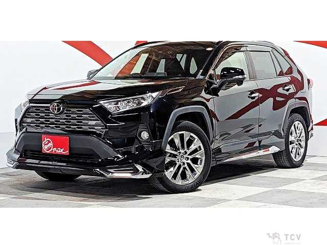 2019 Toyota RAV4