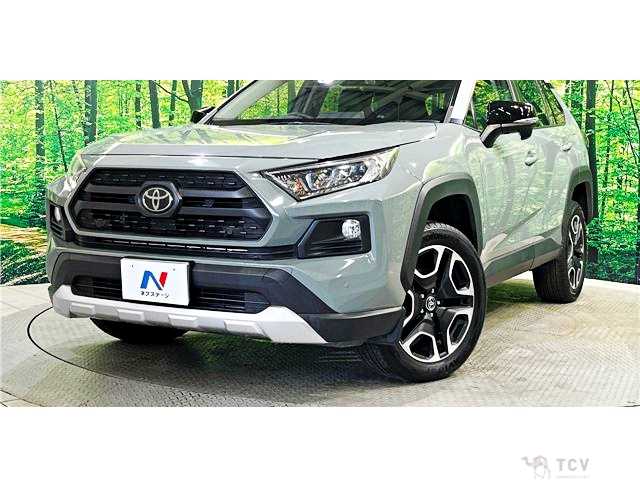 2019 Toyota RAV4