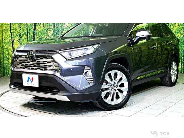 2019 Toyota RAV4
