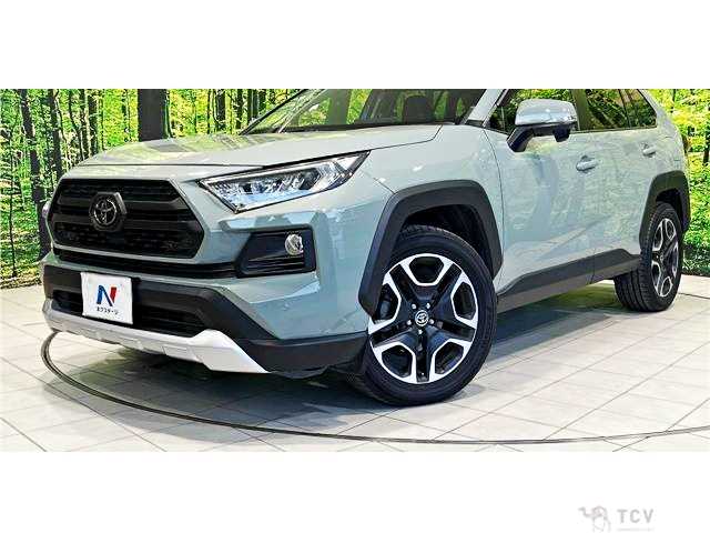 2019 Toyota RAV4