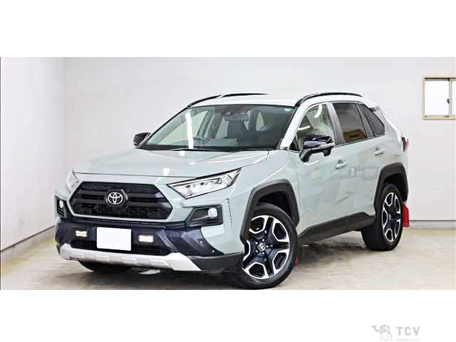 2019 Toyota RAV4