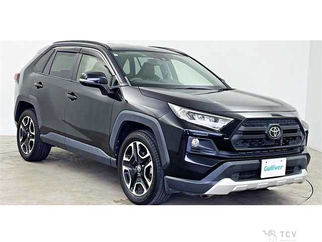 2019 Toyota RAV4