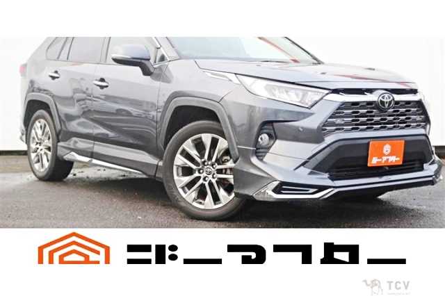 2019 Toyota RAV4