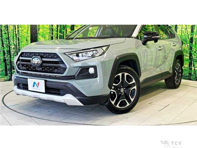 2019 Toyota RAV4