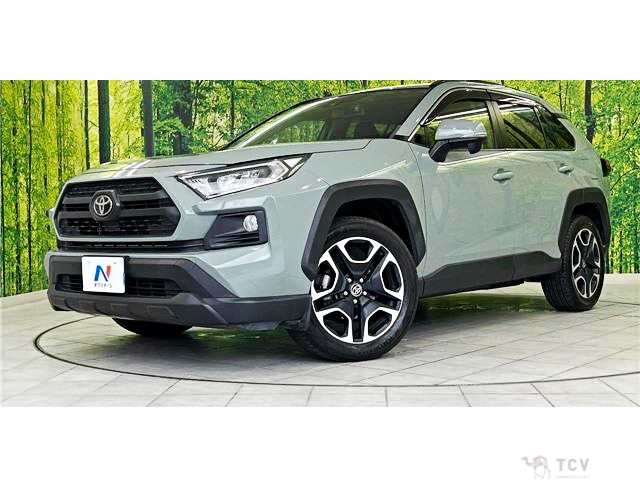 2019 Toyota RAV4