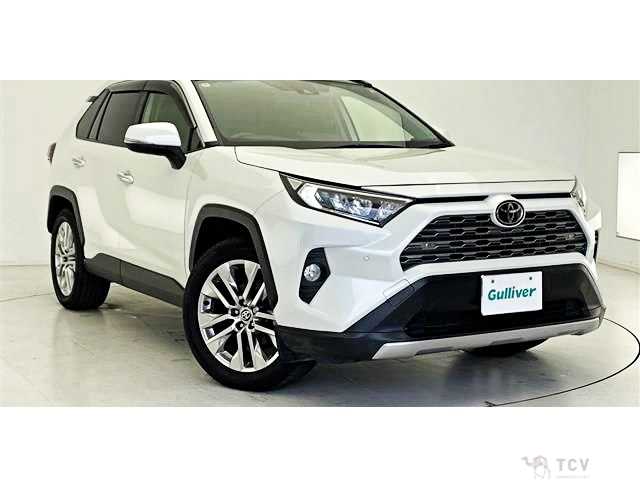 2020 Toyota RAV4