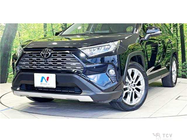 2020 Toyota RAV4
