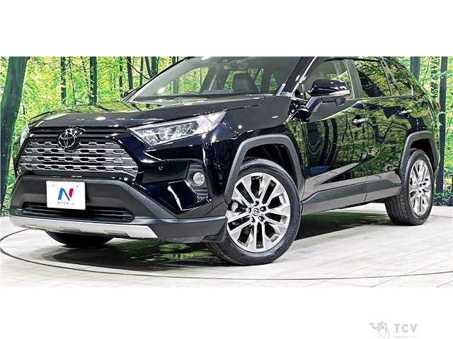 2020 Toyota RAV4
