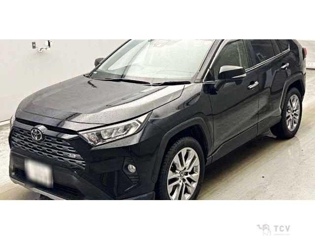 2020 Toyota RAV4