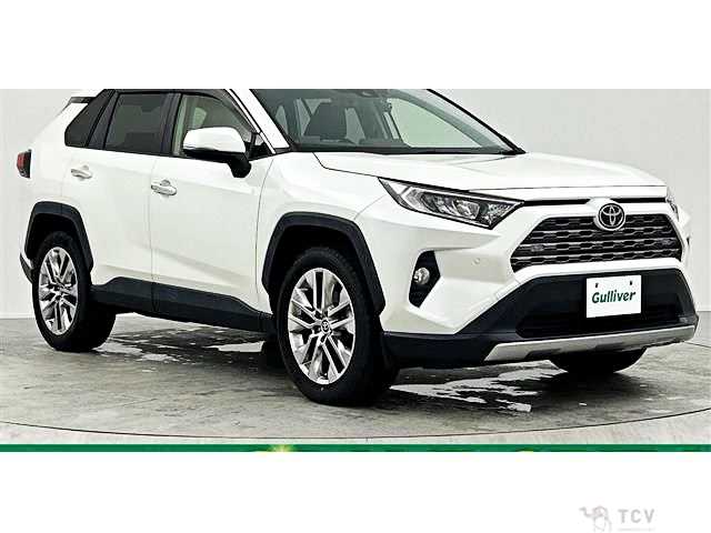 2020 Toyota RAV4