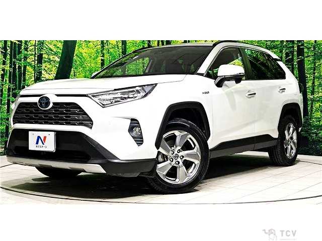2020 Toyota RAV4