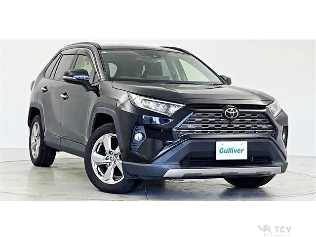 2020 Toyota RAV4
