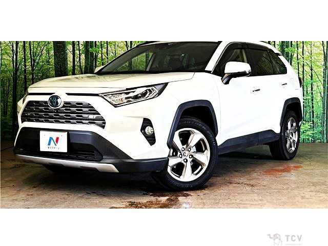 2020 Toyota RAV4