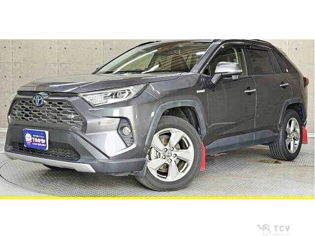2020 Toyota RAV4
