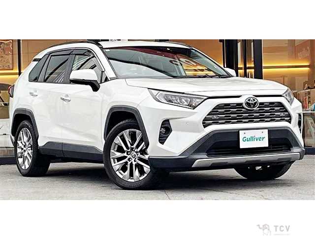 2020 Toyota RAV4