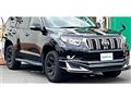 2019 Toyota Land Cruiser Prado