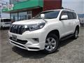 2019 Toyota Land Cruiser Prado