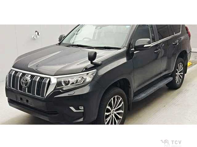 2019 Toyota Land Cruiser Prado