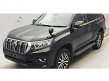 2019 Toyota Land Cruiser Prado