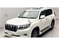 2021 Toyota Land Cruiser Prado