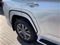2023 Toyota Land Cruiser