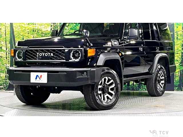 2025 Toyota Land Cruiser