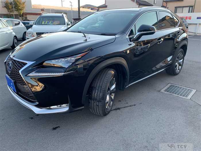 2015 Lexus NX