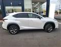 2015 Lexus NX