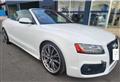 2010 Audi A5