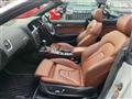 2010 Audi A5