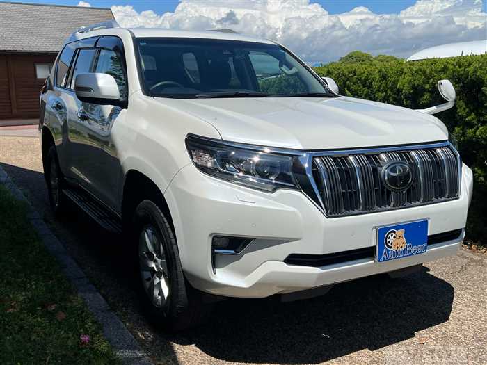 2019 Toyota Land Cruiser Prado