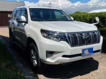 2019 Toyota Land Cruiser Prado
